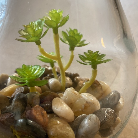 Imitation plant in light Bulb Press top for light  Takes a 3v bulb - Picture 5 of 10